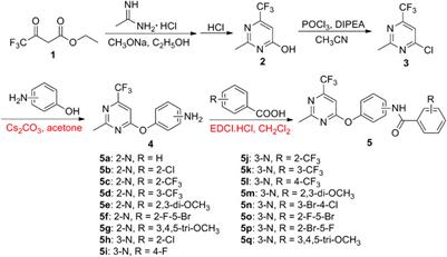 Synthesis and Antifungal Activity of Pyrimidine Derivatives Containing an Amide Moiety